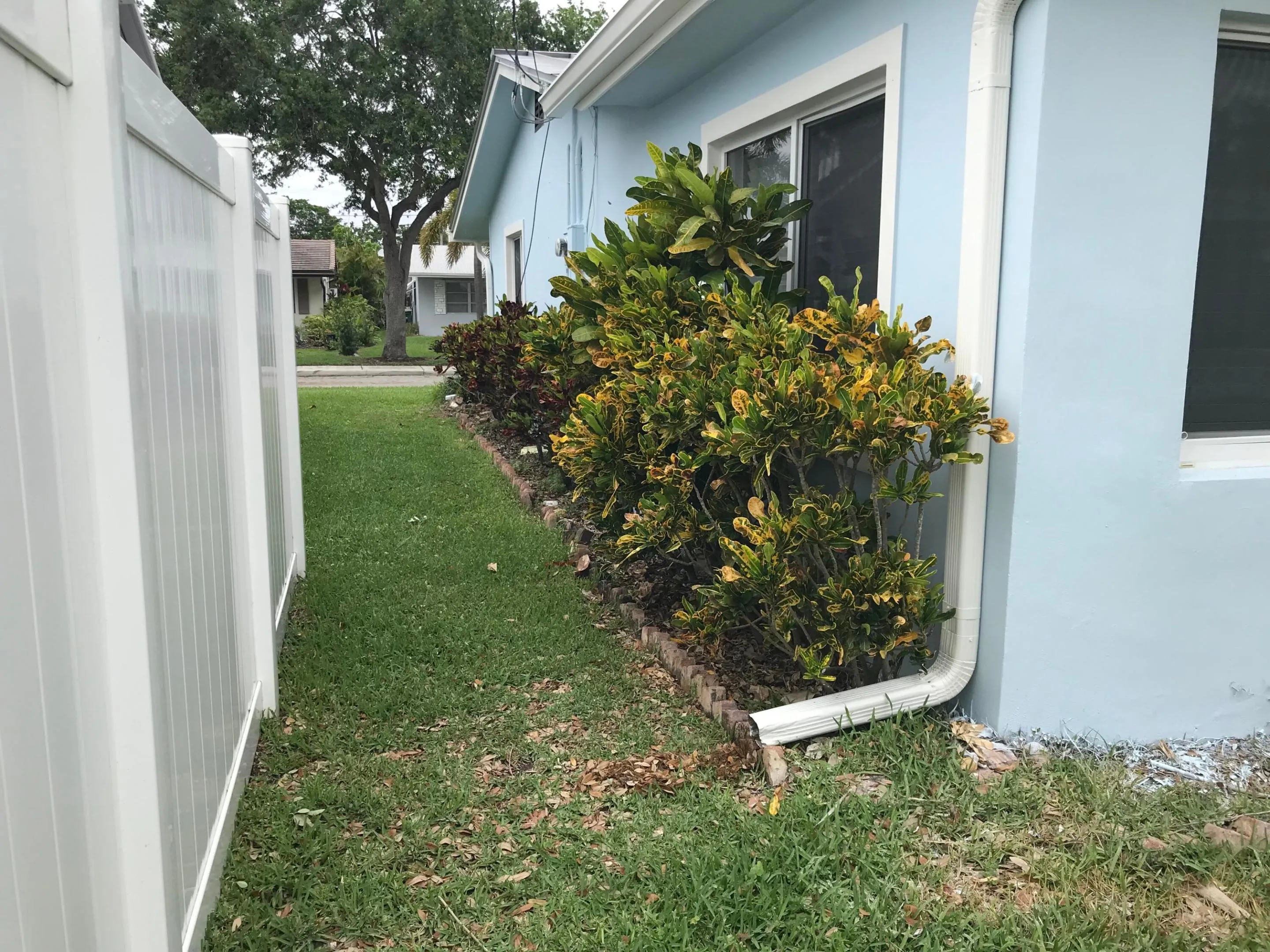 West side yard
