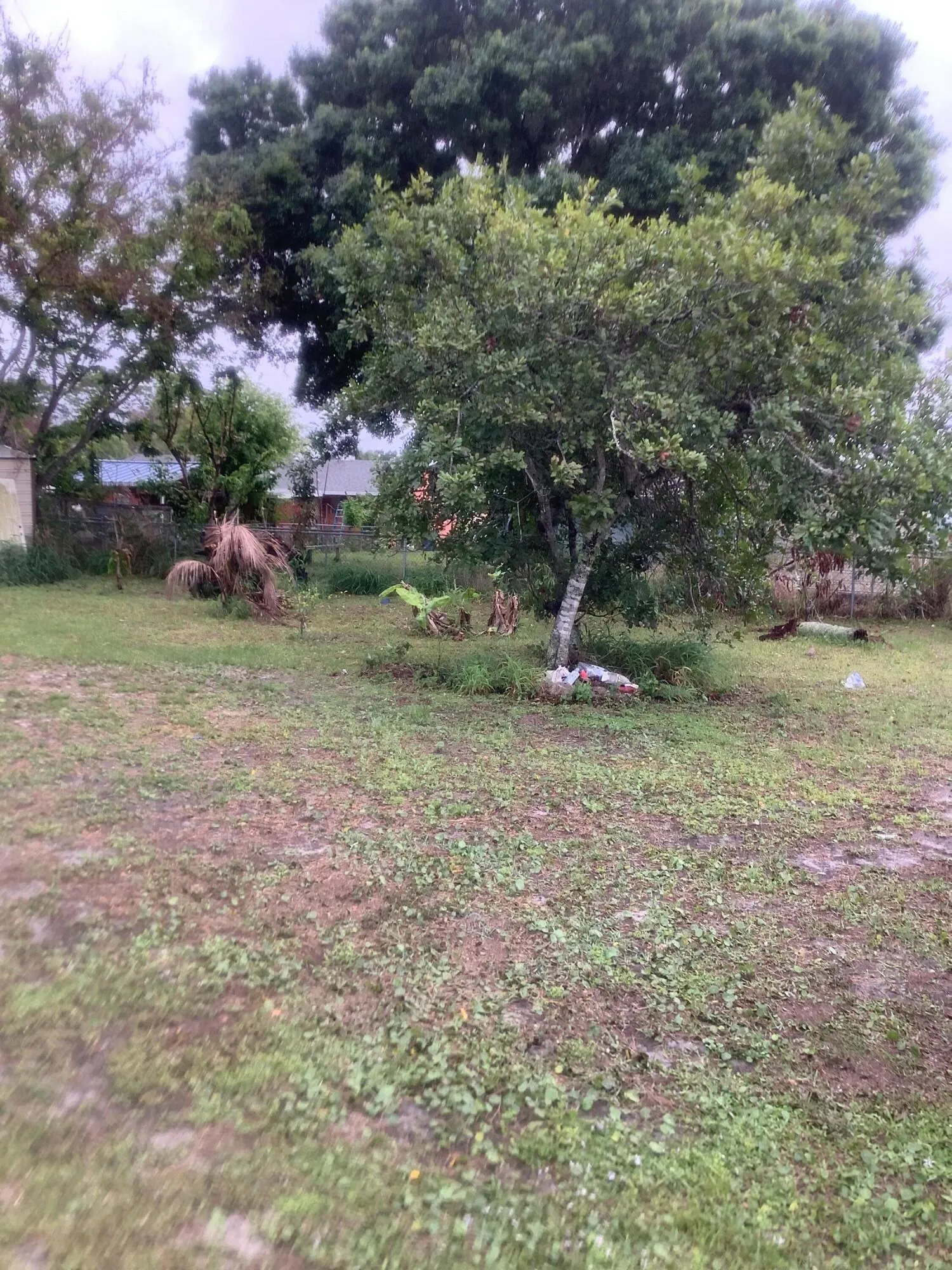 Property photo 42