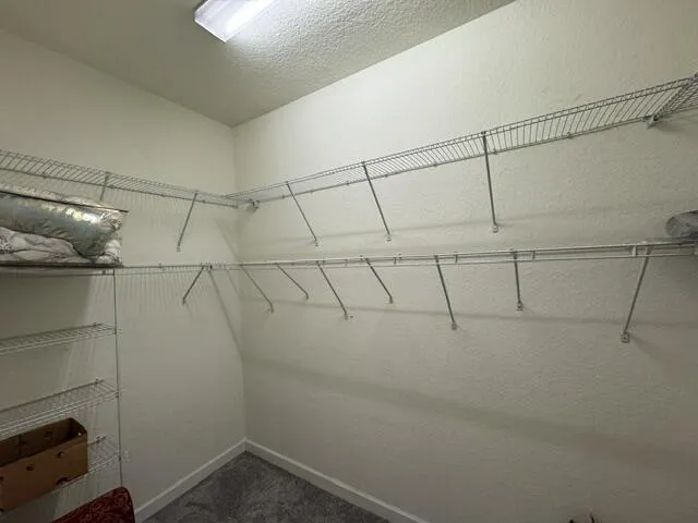 Primary Closets