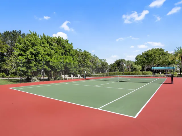 Summer Chase Tennis Ct closeup
