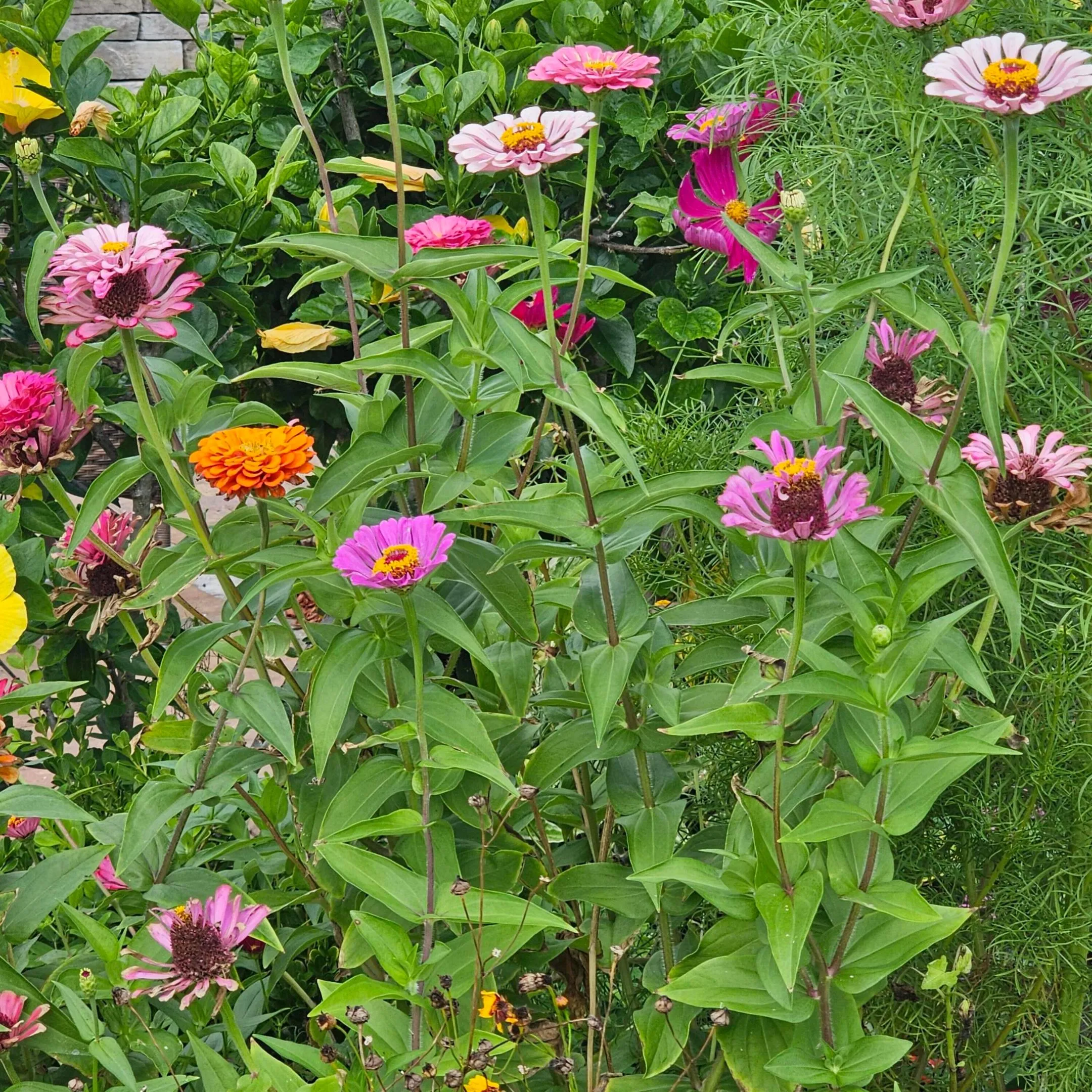 Property photo 43