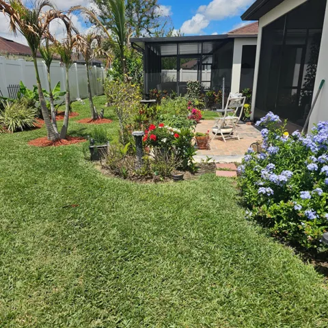 Yard and screened porch.