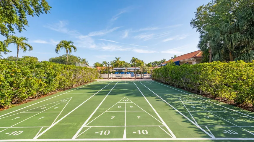 Shuffleboard