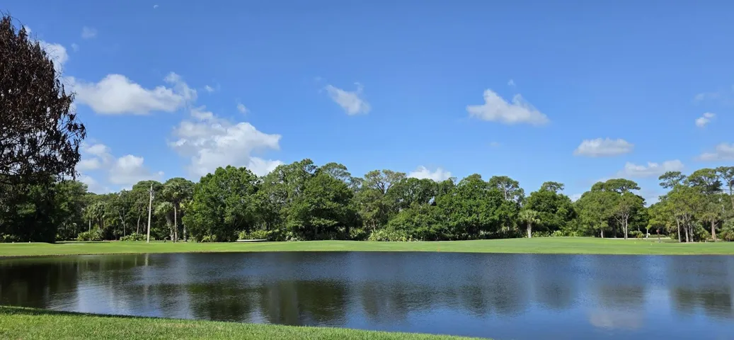 View from Rear of Home