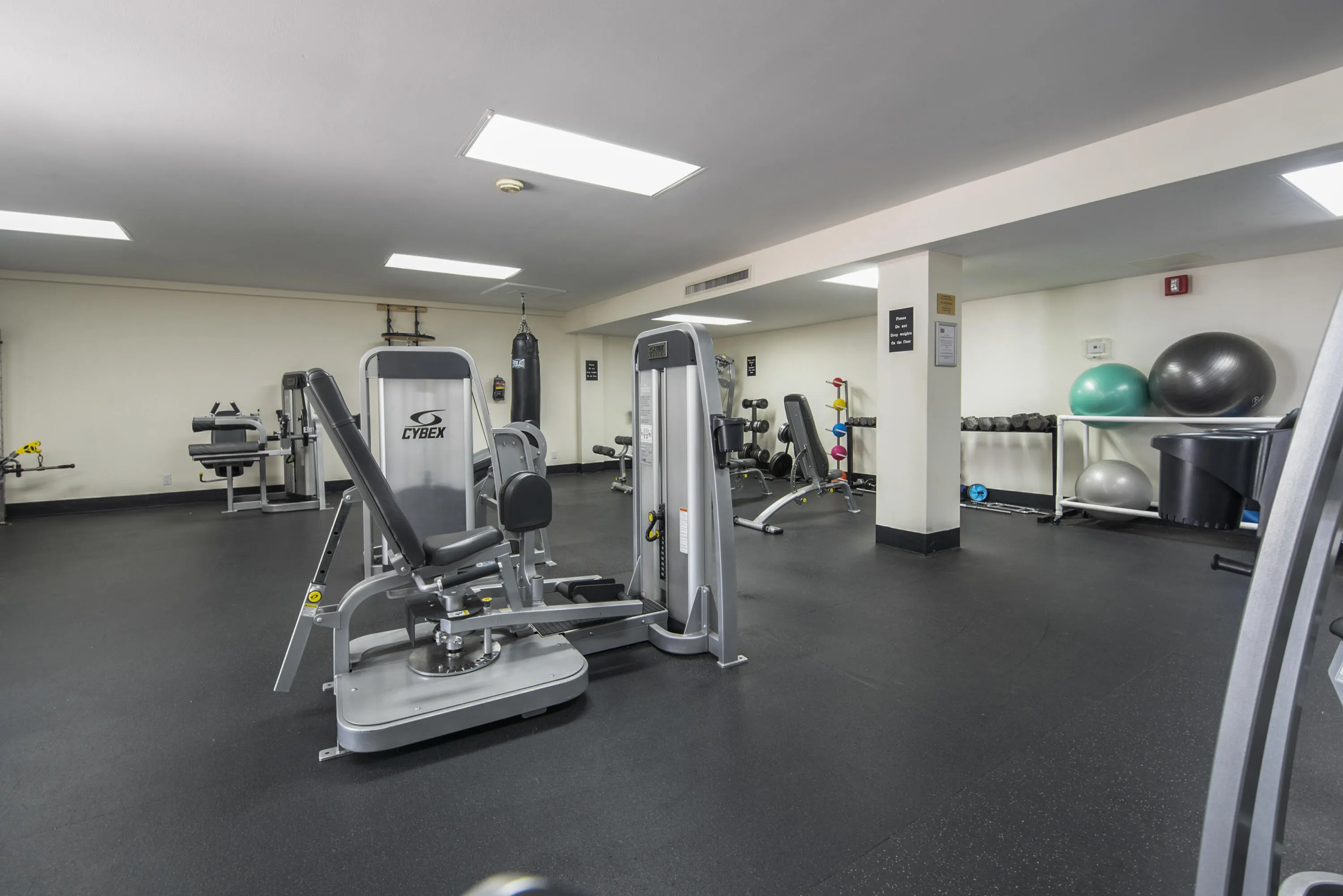 Gym 2