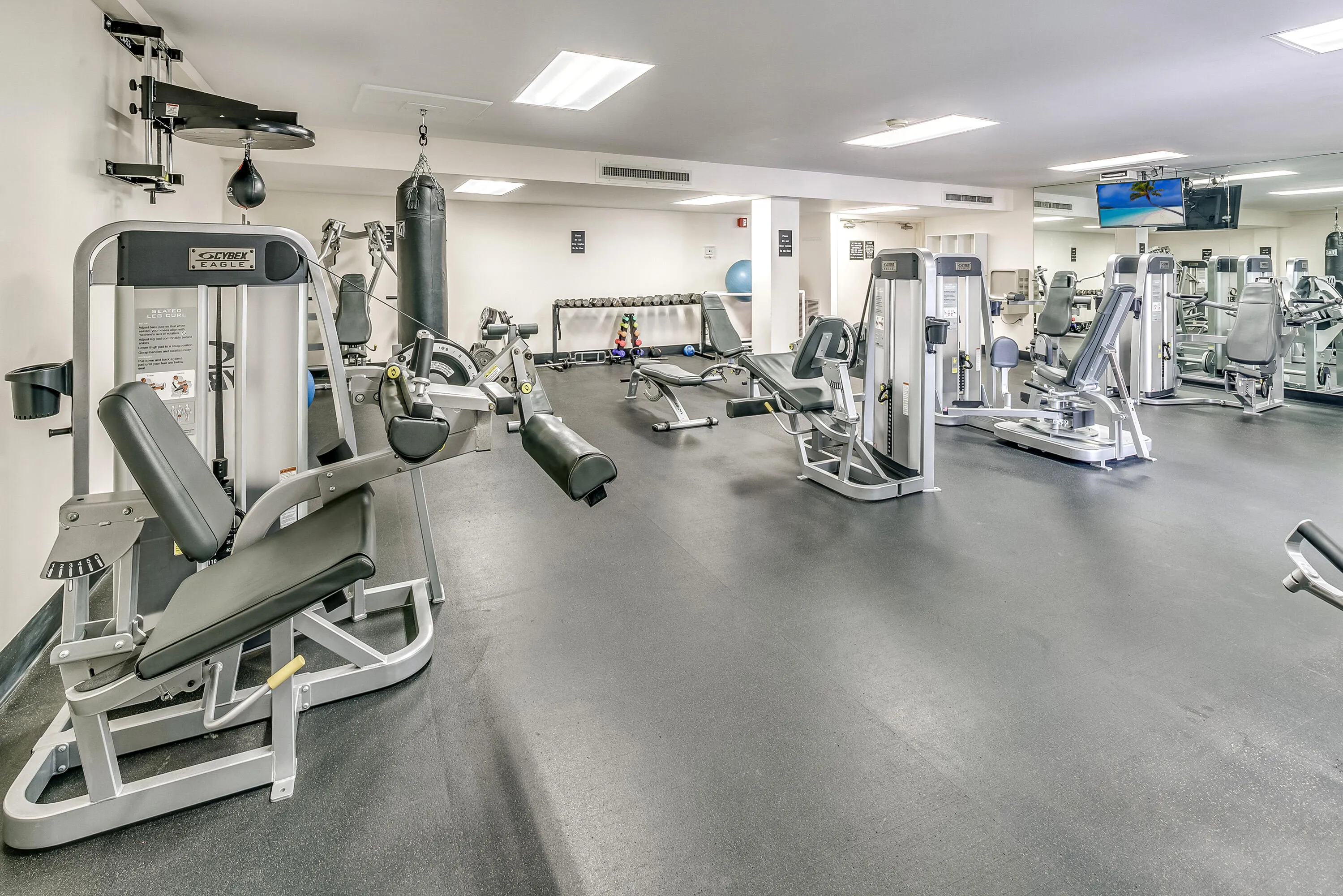 Gym​​‌​​​​‌​​‌‌​‌‌​​​‌‌​‌​‌​‌​​​‌​​