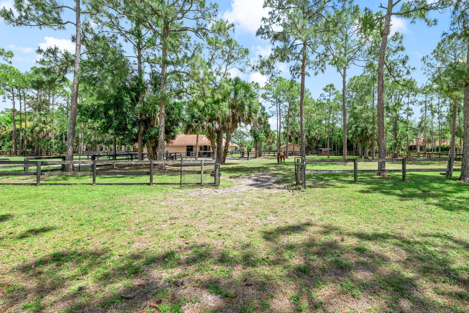2559 Palm Deer Dr Locahatchee-large-124-