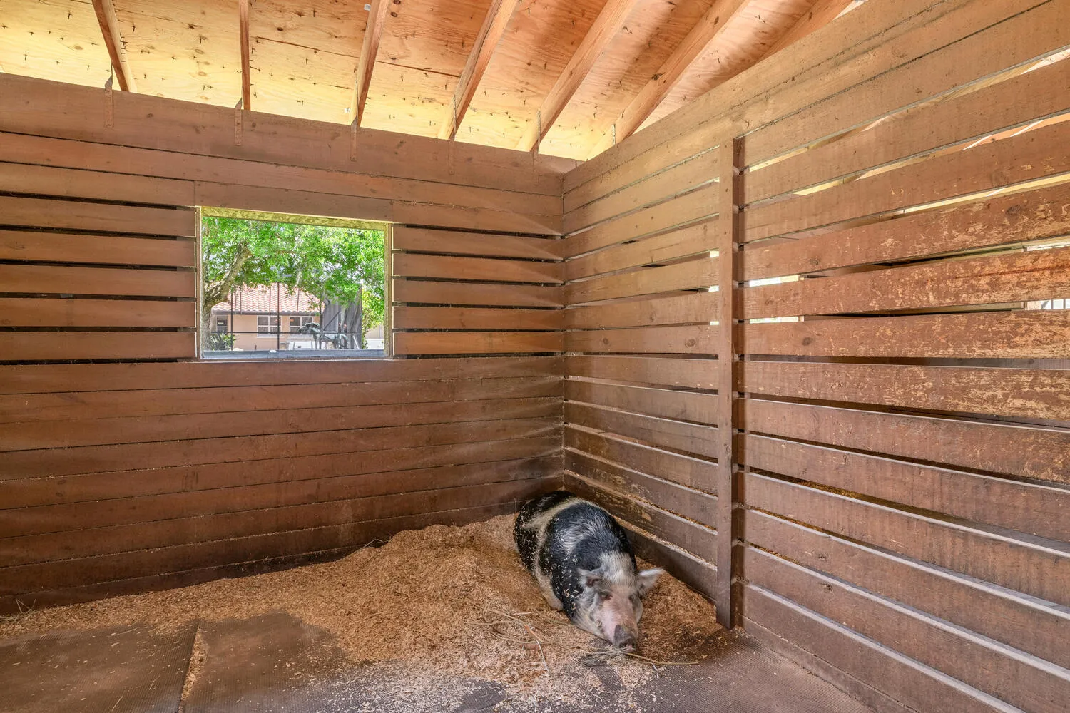Property photo 98