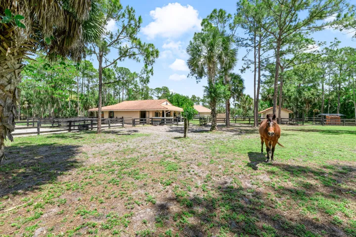 2559 Palm Deer Dr Locahatchee-large-122-