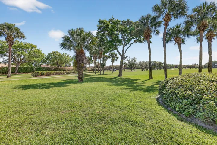 backyard view