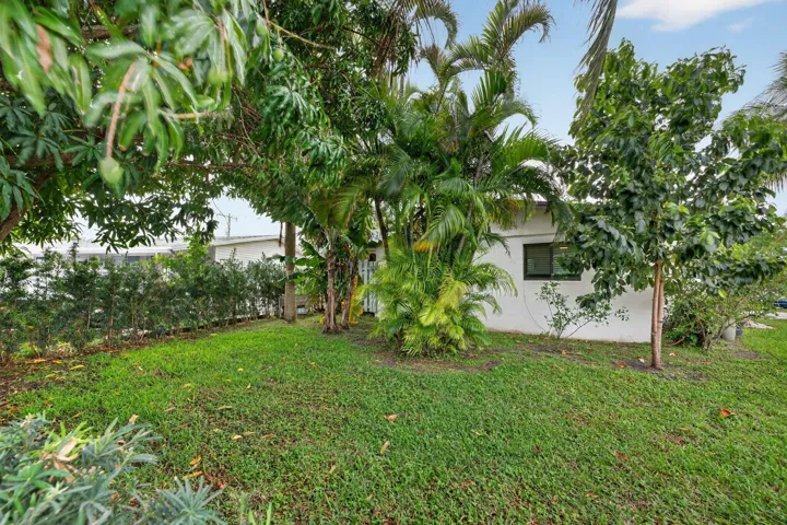 41-web-or-mls-DSC07918