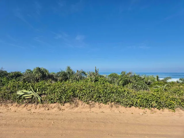 Peekaboo ocean views through mature coastal landscaping