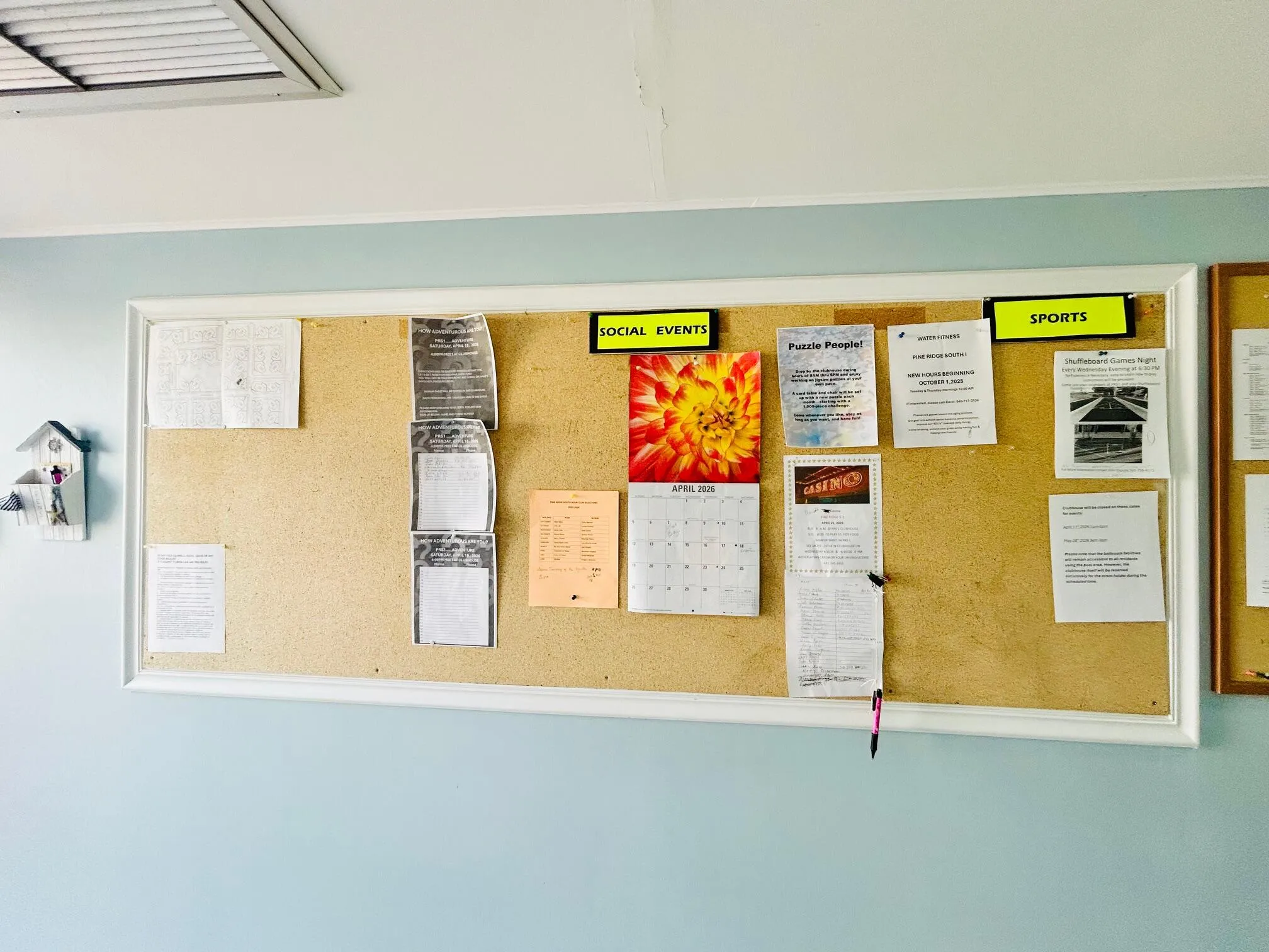 ACTIVITY BOARD