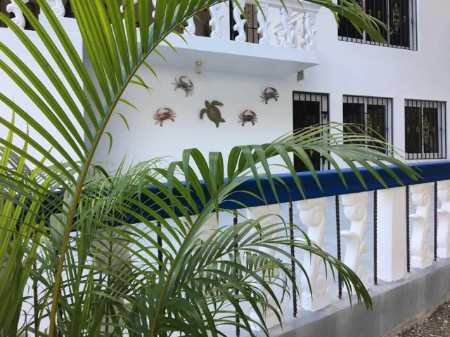 Turtle terrace