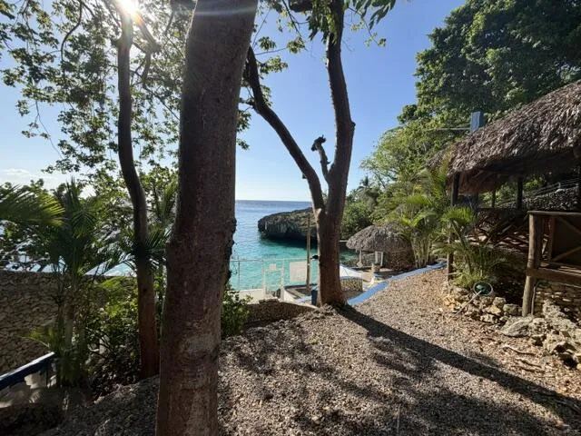 View to Ocean