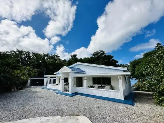 Newer Construction Cement