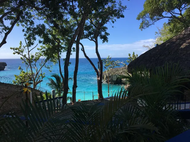 Dream views