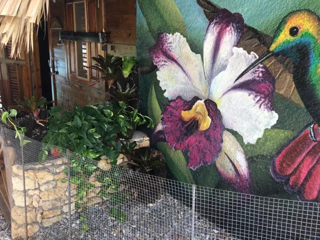 Beautiful orchids