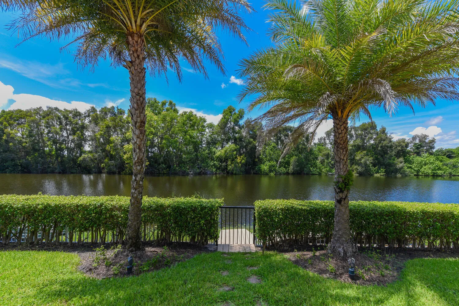 14284 Stroller Way Wellington-large-037-