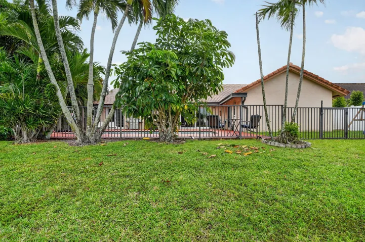 BACKYARD VIEW