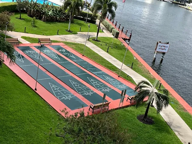 Shuffleboard