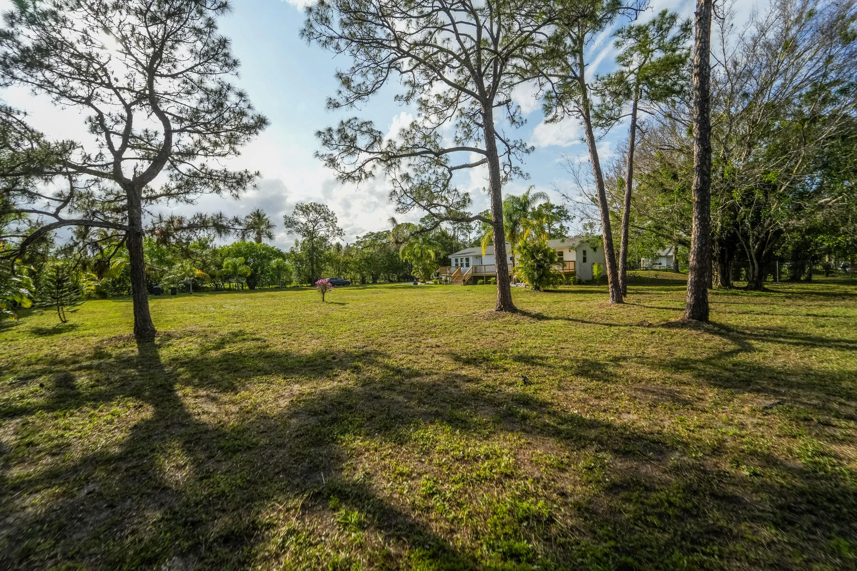 Property photo 49