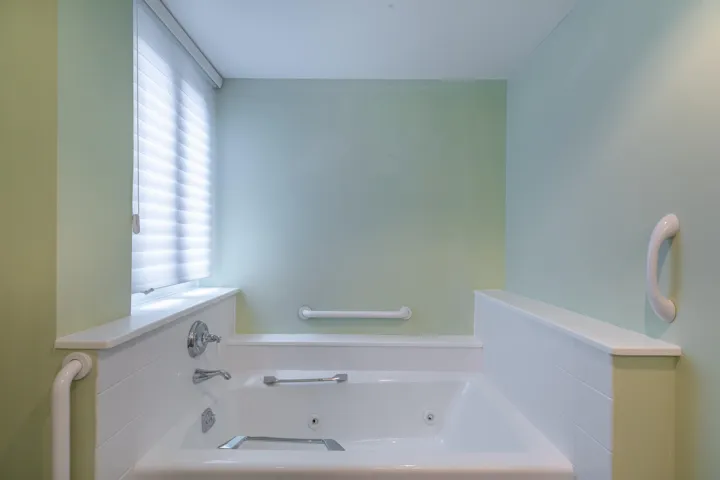 Main Bath tub