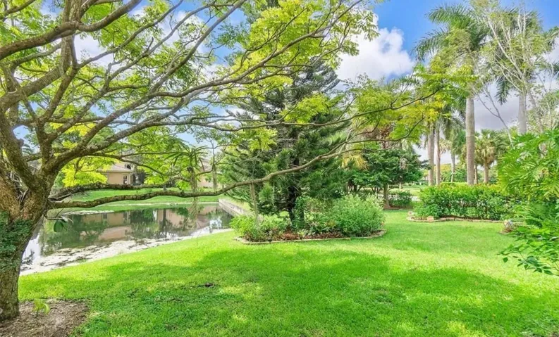 Back garden on lake