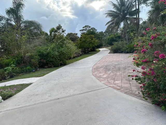 IMG_3797