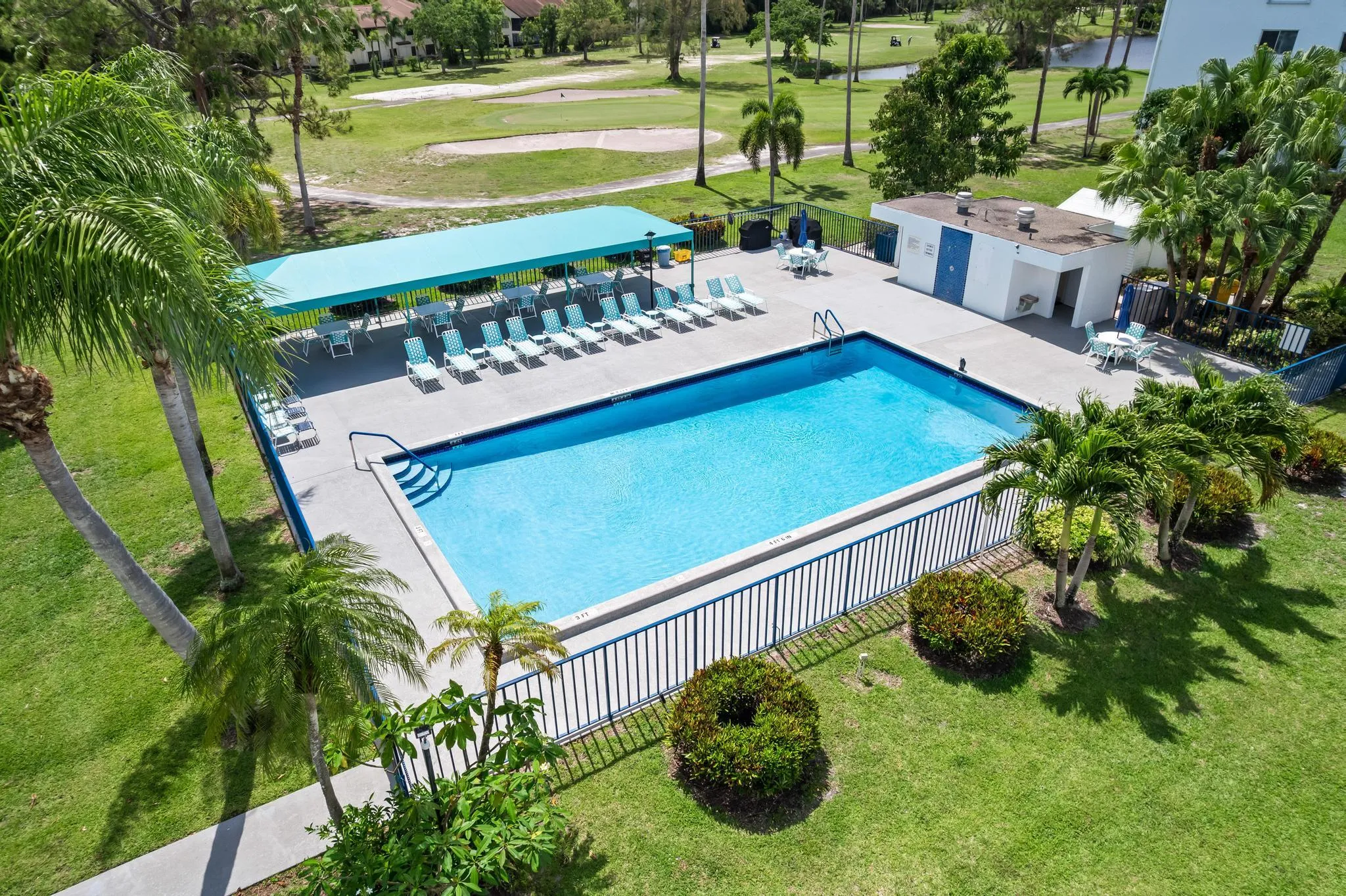 Pool and Deck Area