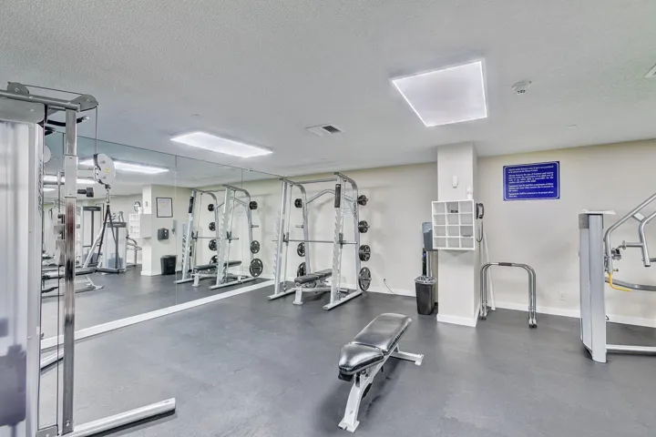 79-web-or-mls-320A8823