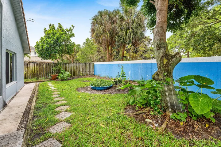 Backyard with Mango Tree