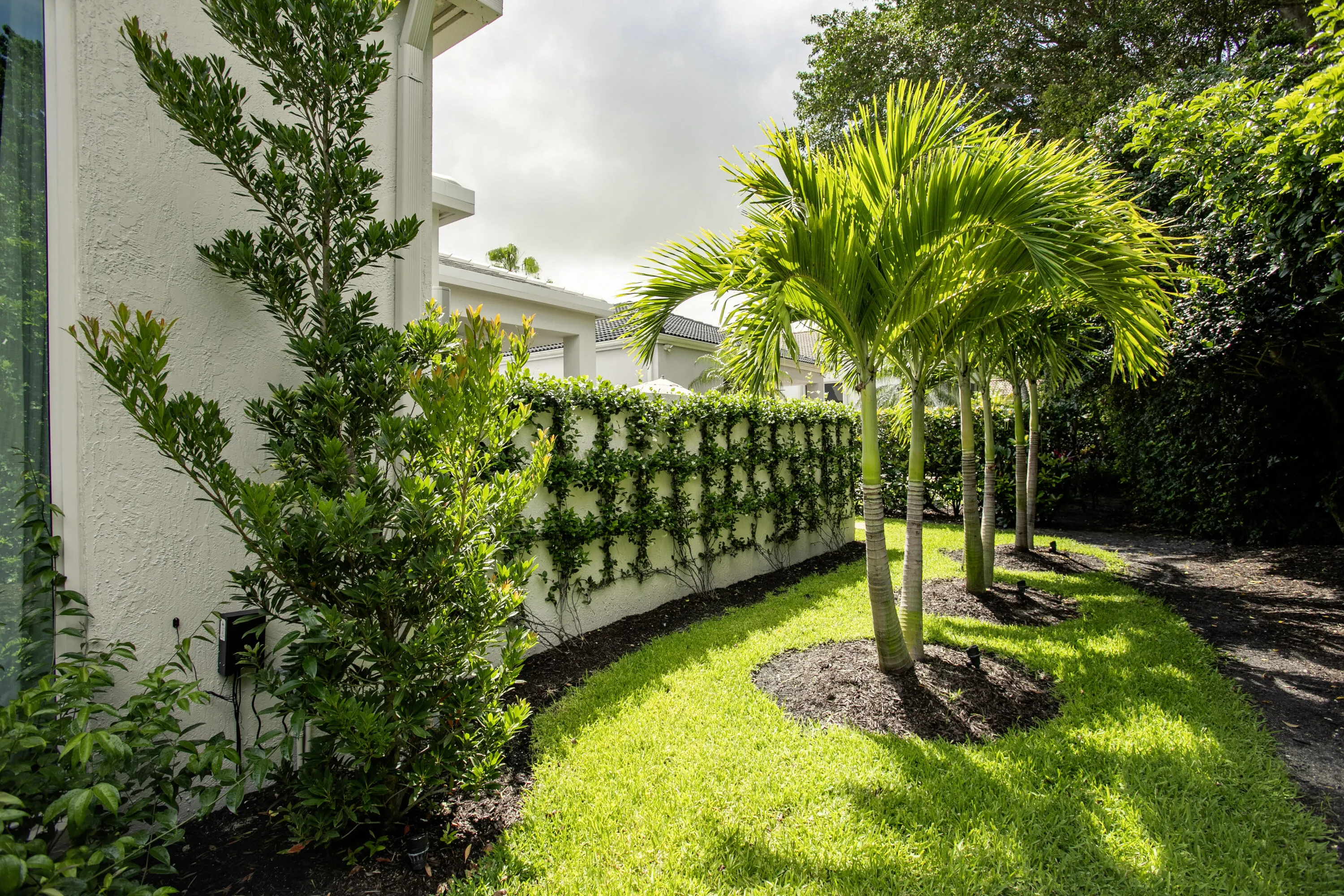 LUSH LANDSCAPE ALL AROUND