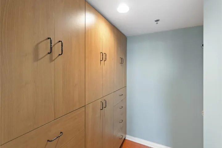 Guest Bedroom Walk-in Closet