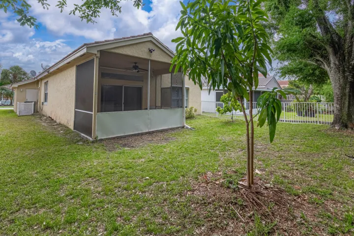 Backyard-B