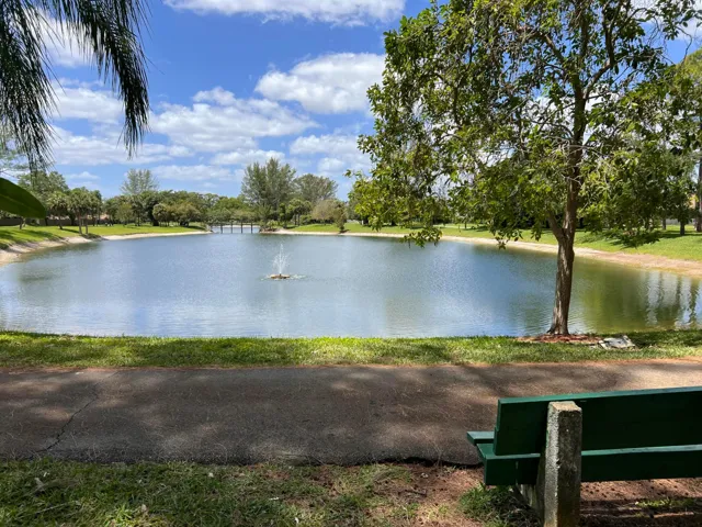 Lake view