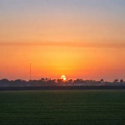 Sunrise