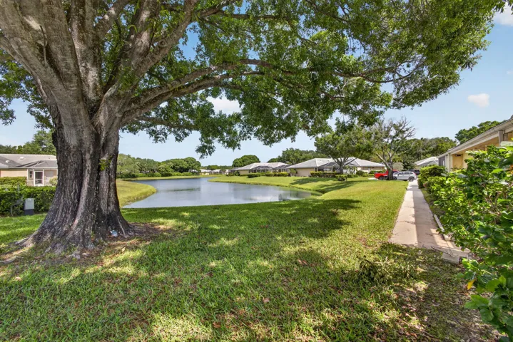 5-web-or-mls-5D1A2398
