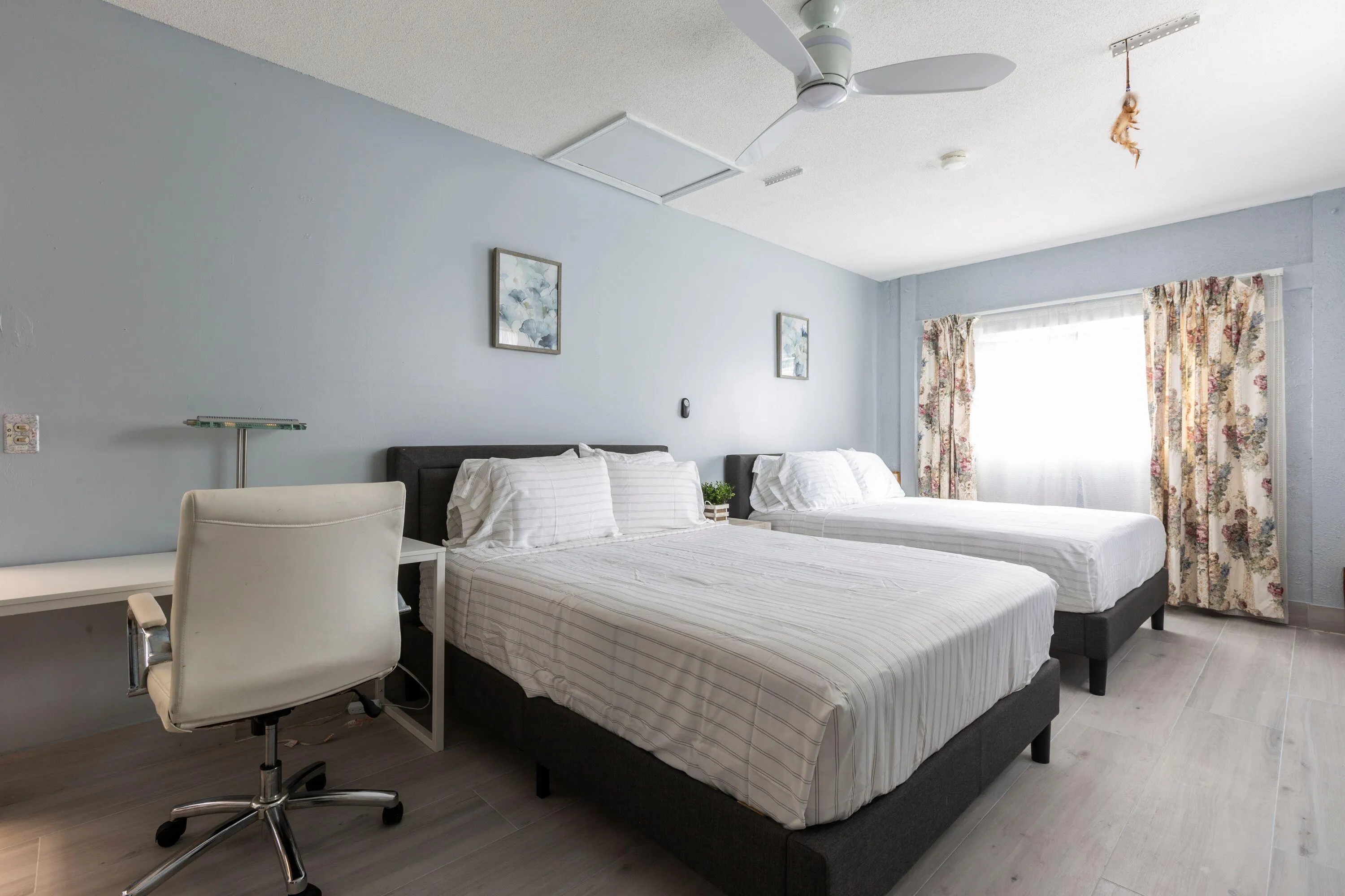 343 Balsam St (Yard4)