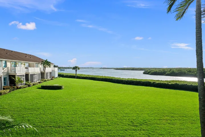 View from Sun Room