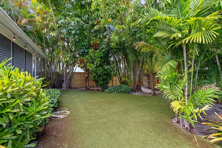 Back yard / garden.