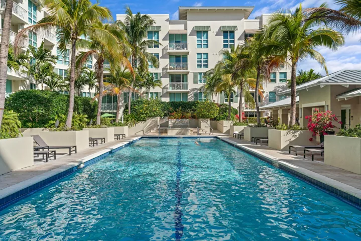 City palms - pool 1