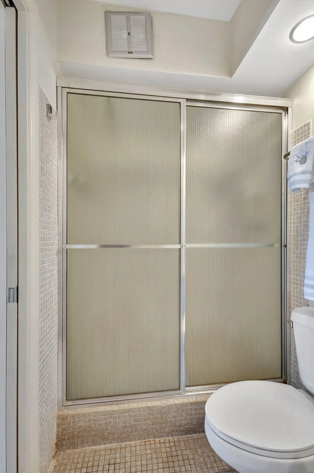 Primary Shower