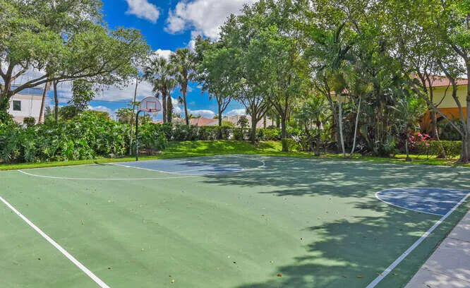 Basketball court