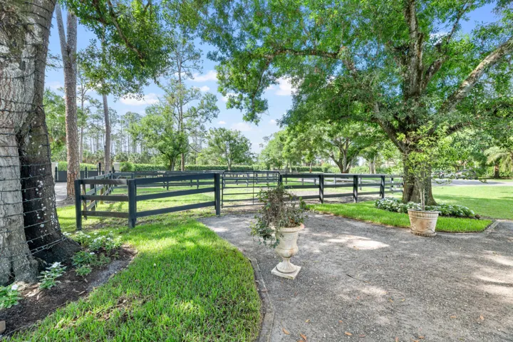Irrigated Paddocks