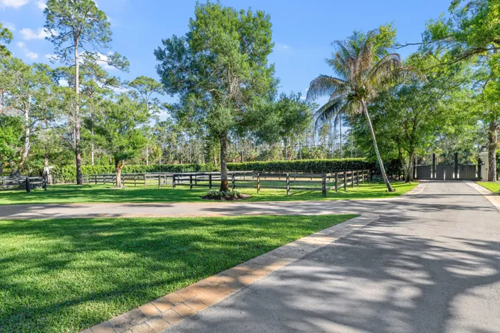 15161 Collecting Canal Rd-print-222-055-