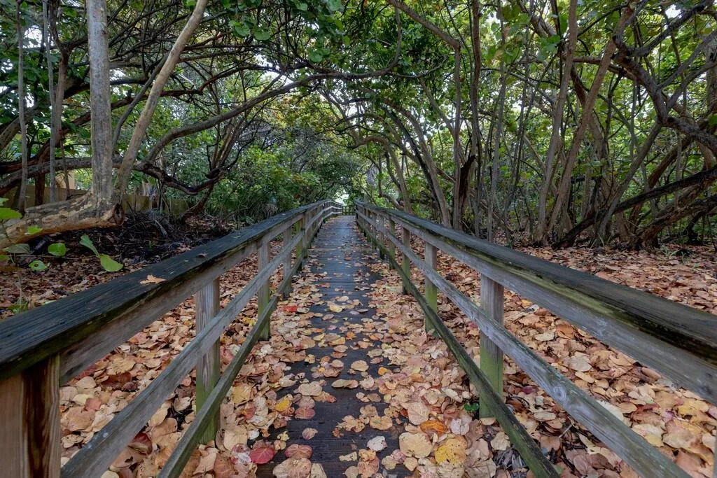 path