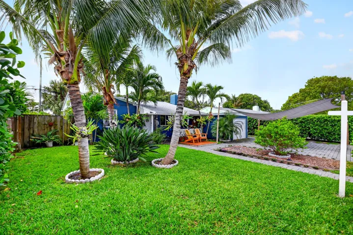 Side view of the front yard showcasing lush tropical palms and mature greenery.