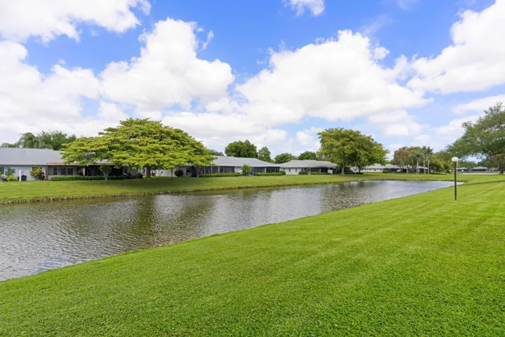 Backyard Lake View