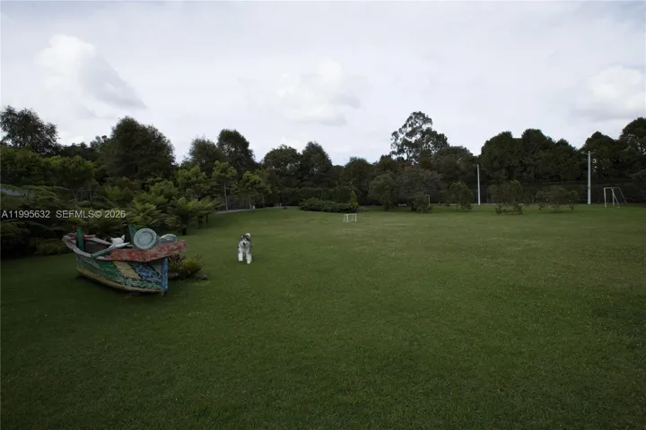 Photo 42